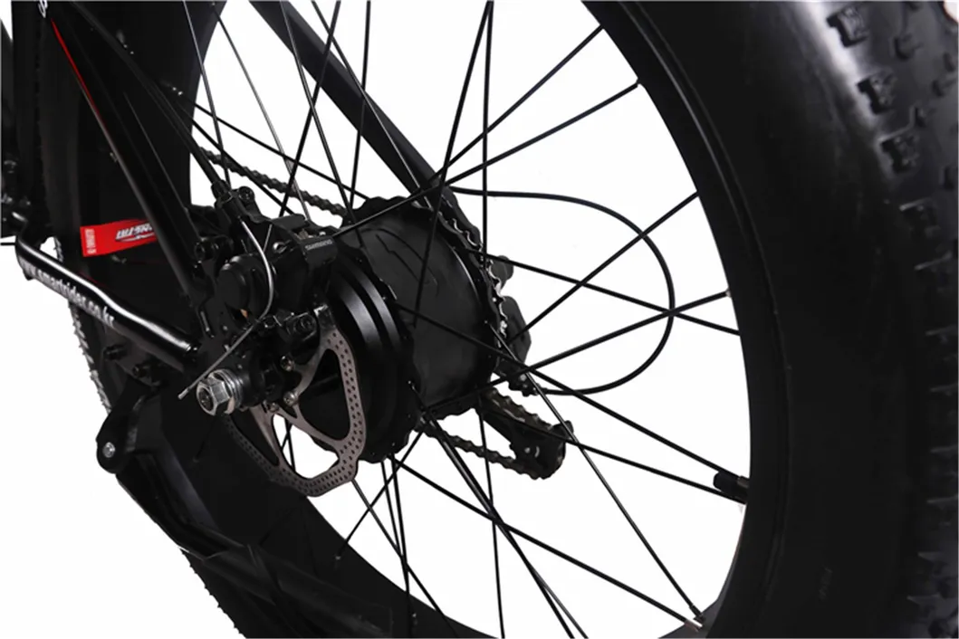 China 29inch Bike Electric Bike