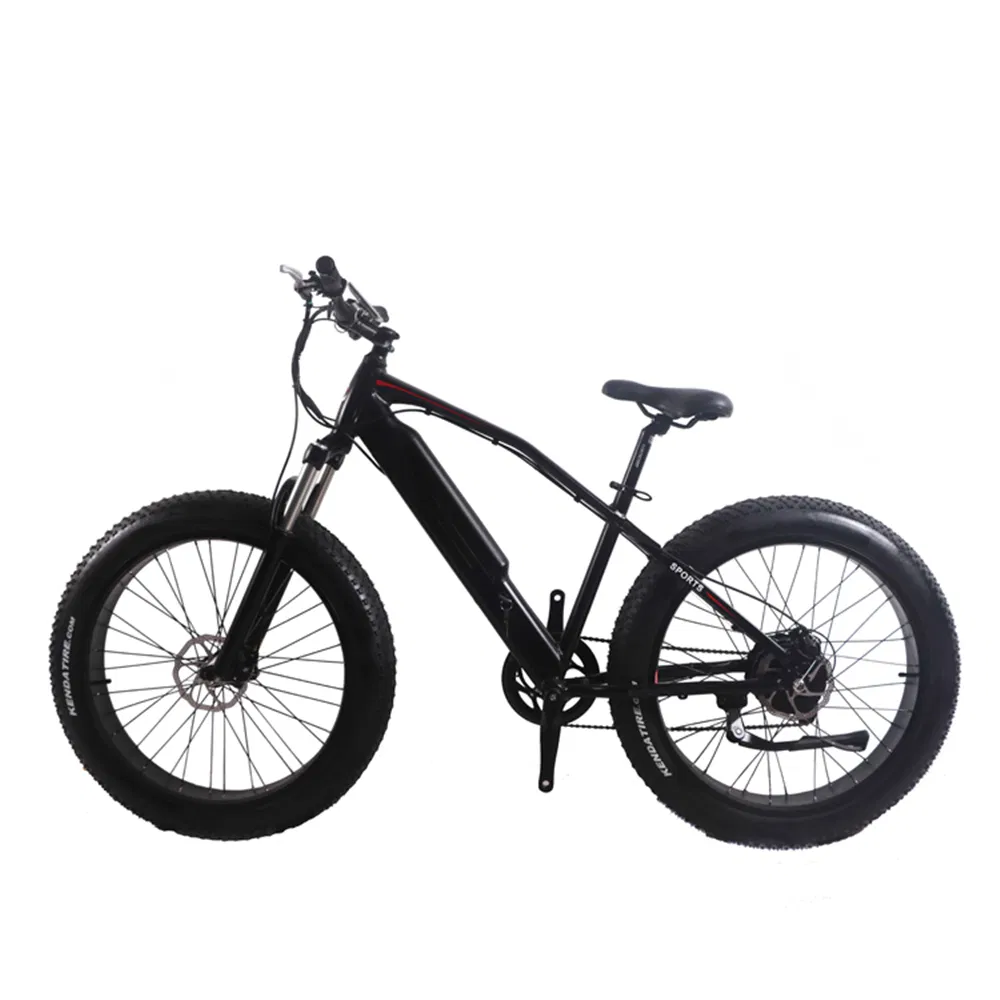 China 29inch Bike Electric Bike