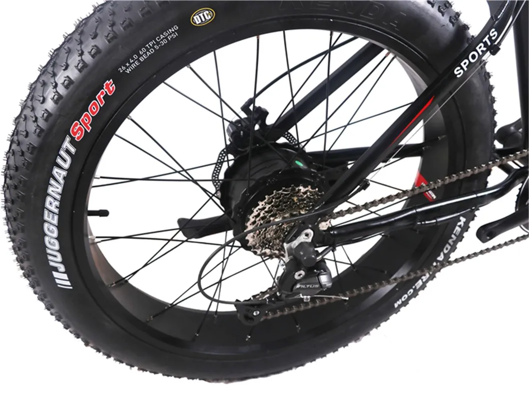 China 29inch Bike Electric Bike