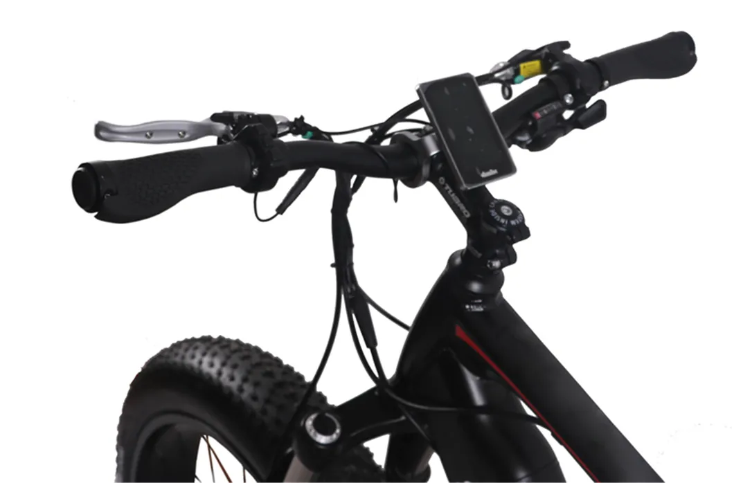 China 29inch Bike Electric Bike