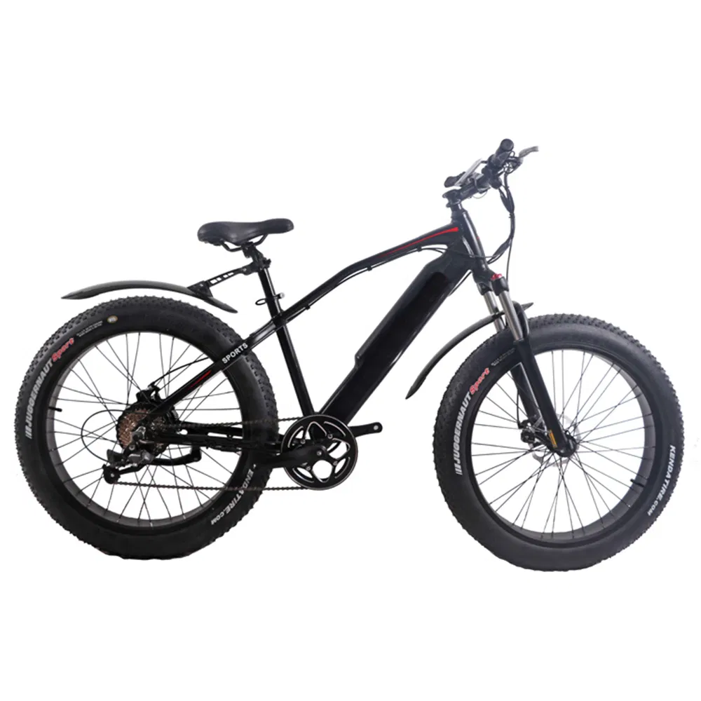 China 29inch Bike Electric Bike