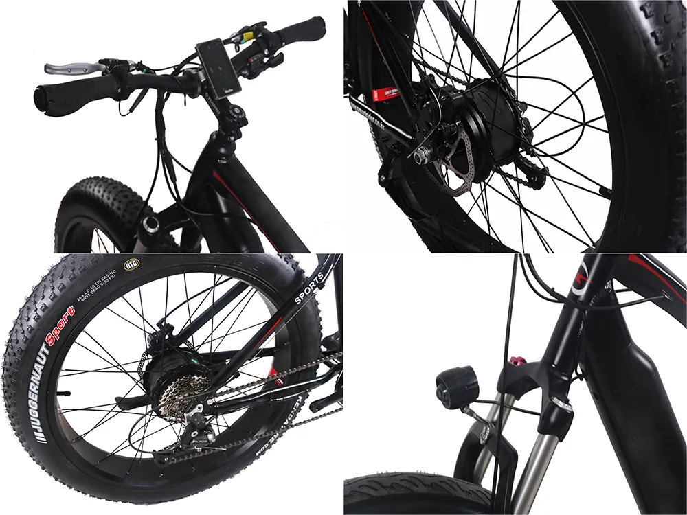 China 29inch Bike Electric Bike
