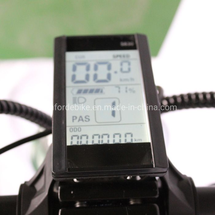 China Bike 2 Wheel Lithium Long Range Electric Bicycle Scooters