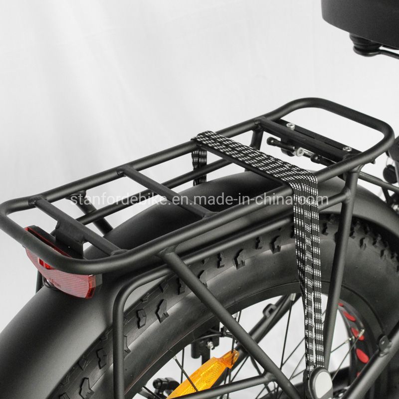 China Bike 2 Wheel Lithium Long Range Electric Bicycle Scooters