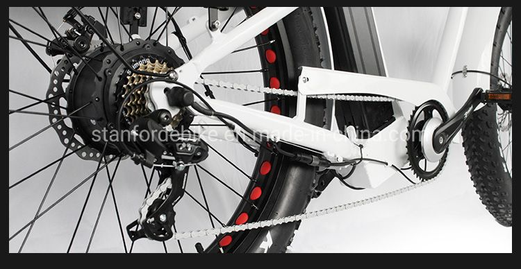 China Bike 2 Wheel Lithium Long Range Electric Bicycle Scooters