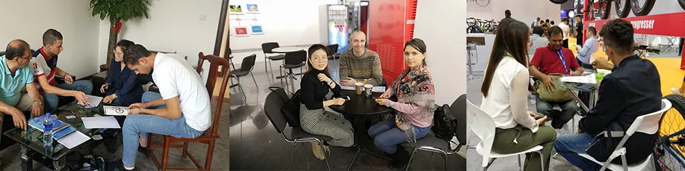 China CE Certificate Cheap City 28 City 48V Classic Custom Design Electric Bike