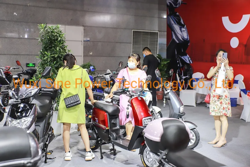 China Cheap 48V500W Electric Tricycle CE Certified Electric Tricycle