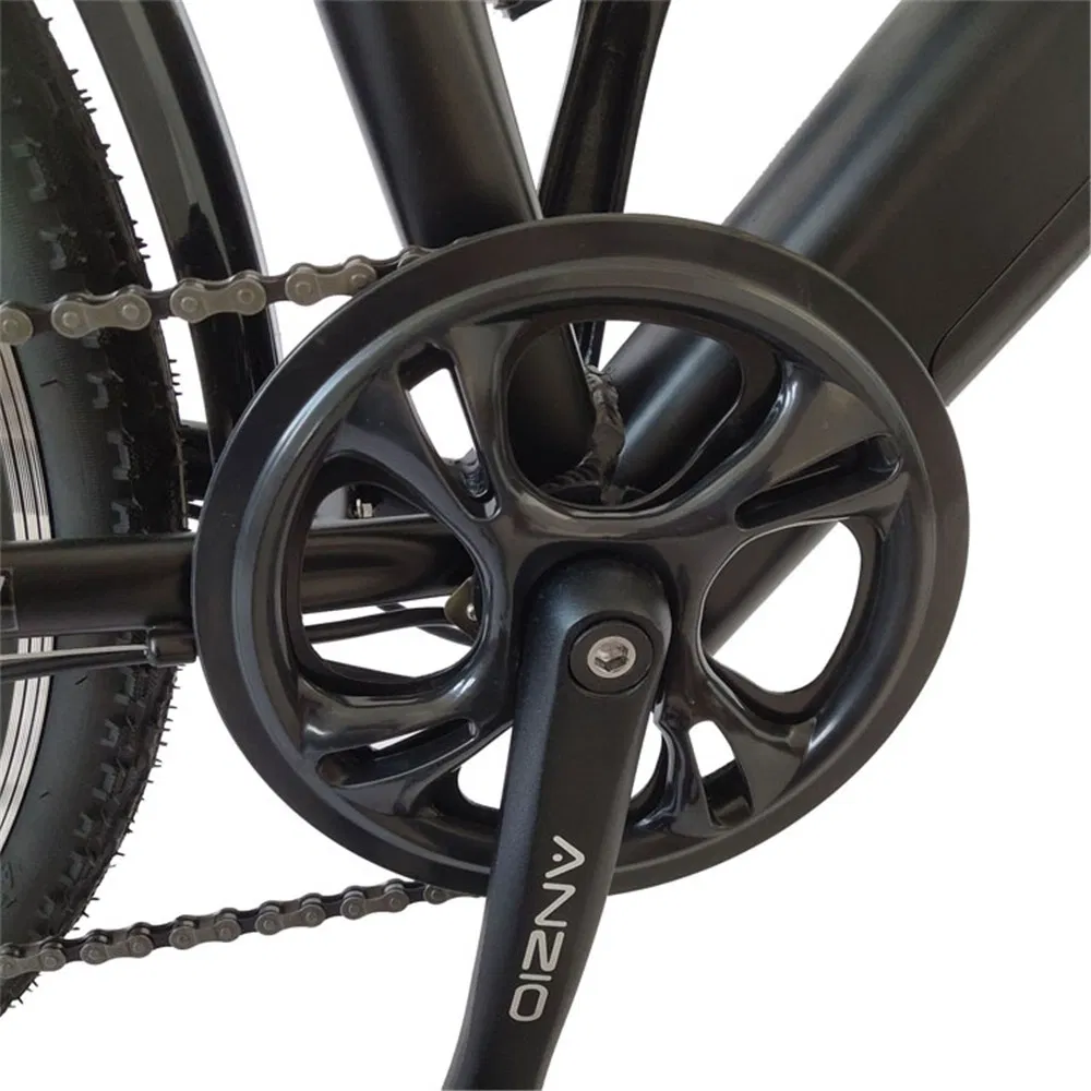 China City City 28 City 48V Classic Custom Design Electric Bike