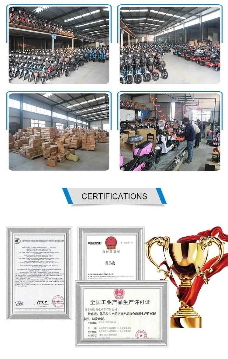 China Electric Bicycle Bike Kit &nbsp;30km/H Electric Handicapped Scooter &nbsp;China China Electric Bike