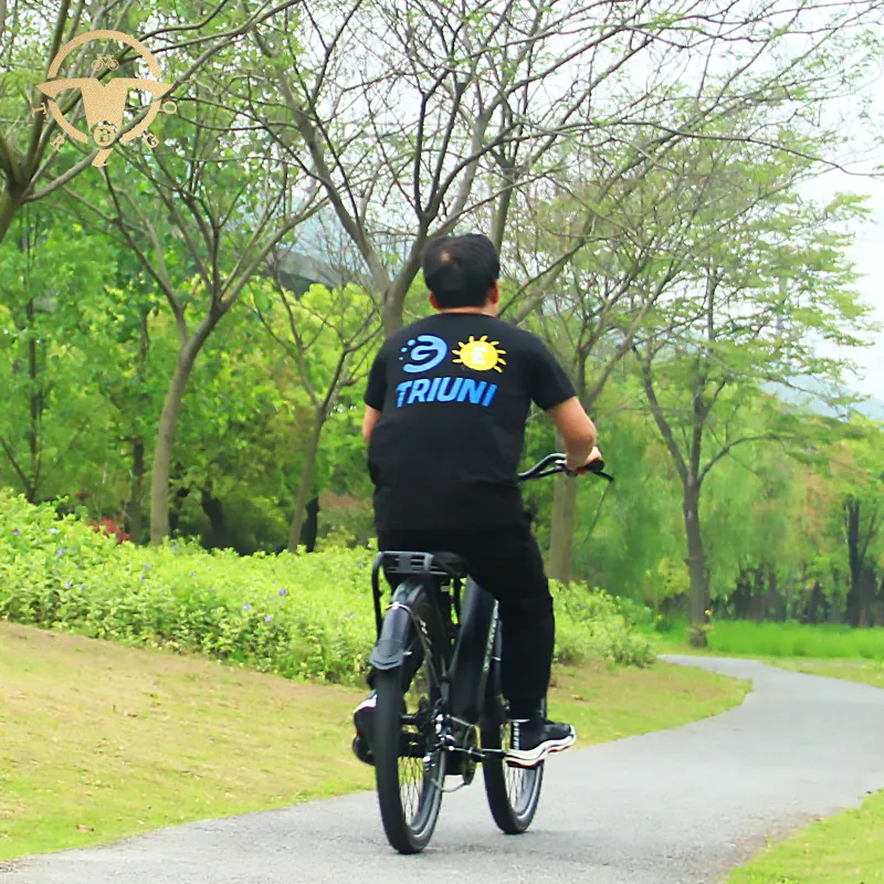 China Factory 27.5 Inch Fat Tire Brushless Motor Electric Bike for All People