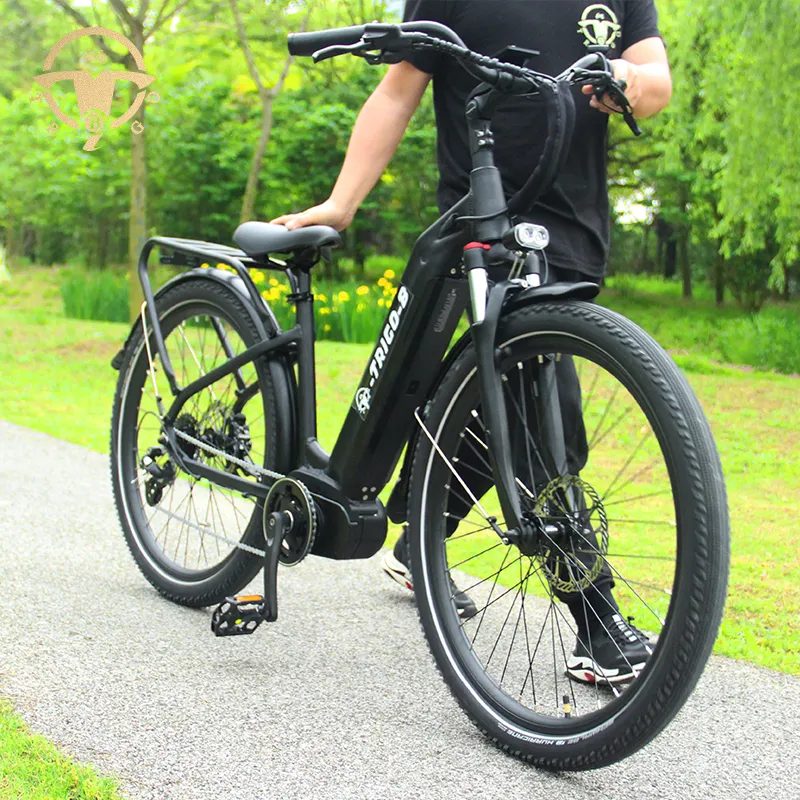 China Factory 27.5 Inch Fat Tire Brushless Motor Electric Bike for All People