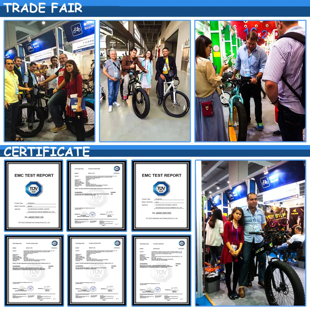 China Factory Longtail Cargo Electric Bike with Shimano Gear