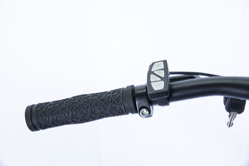 China Factory Wholesale 700c Electirc Mountain Bike OEM