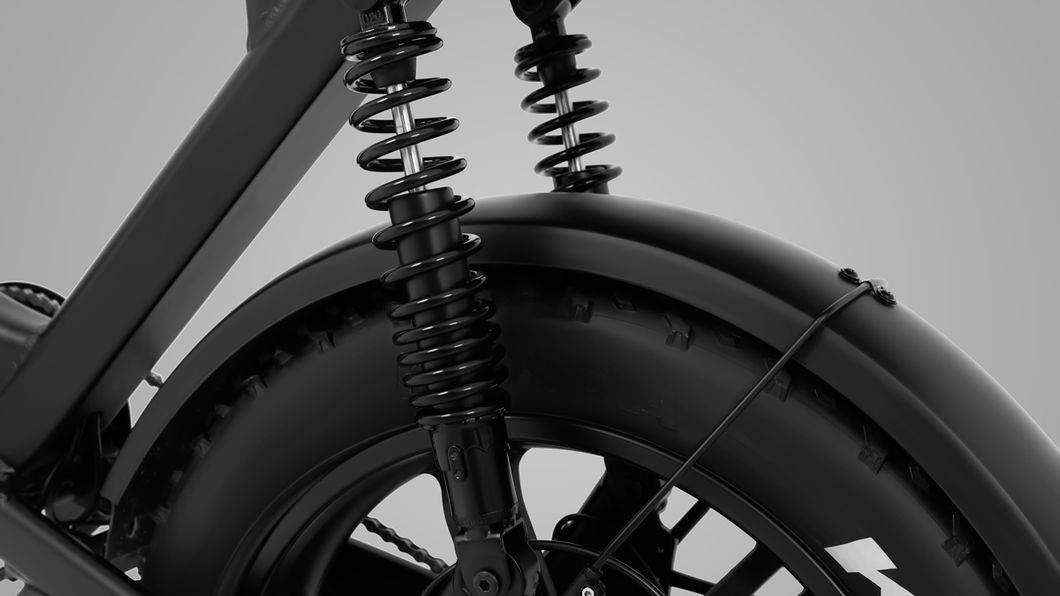 China Superior Manufacturer Wholesale 750W 48V14ah/17.5ah Electric Bike