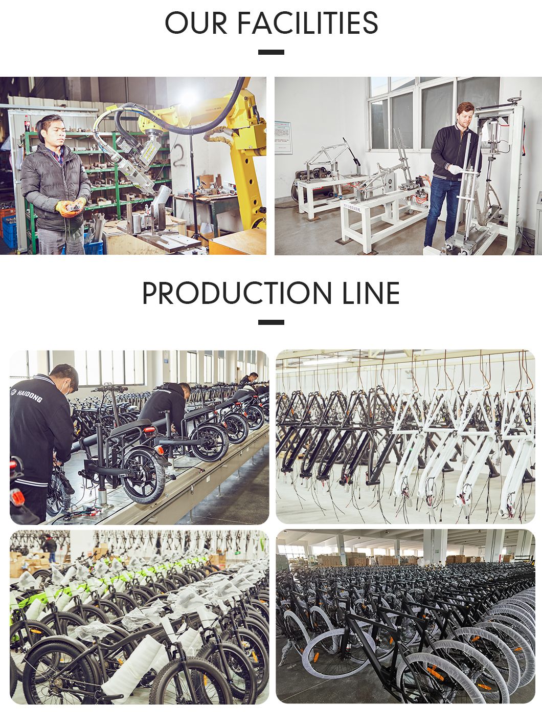 China Superior Manufacturer Wholesale 750W 48V14ah/17.5ah Electric Bike