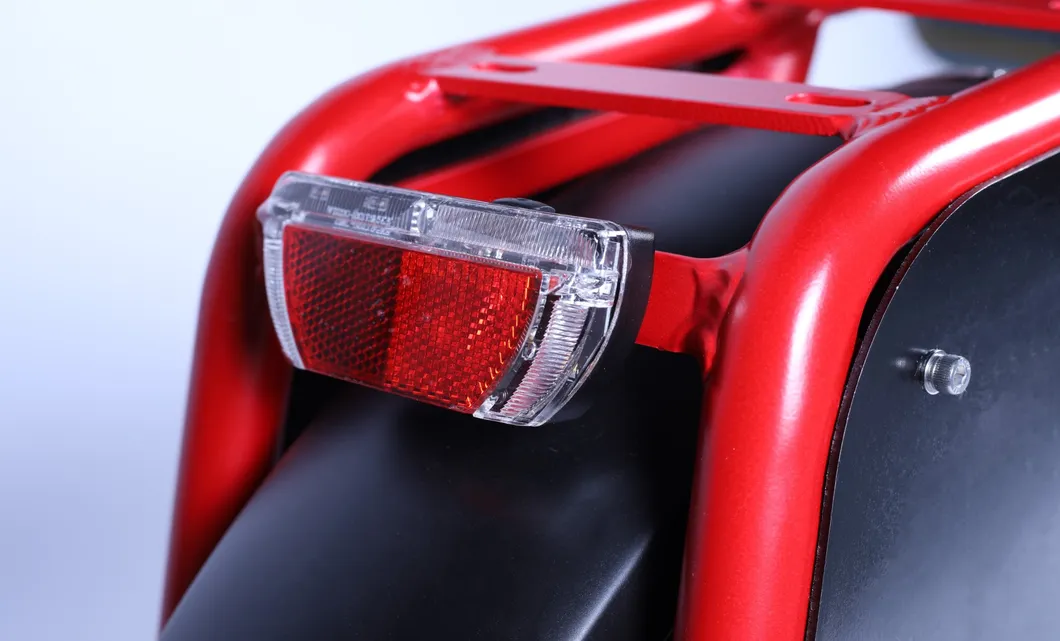 City Bicycle 20inch Fat Tire Electric Bike