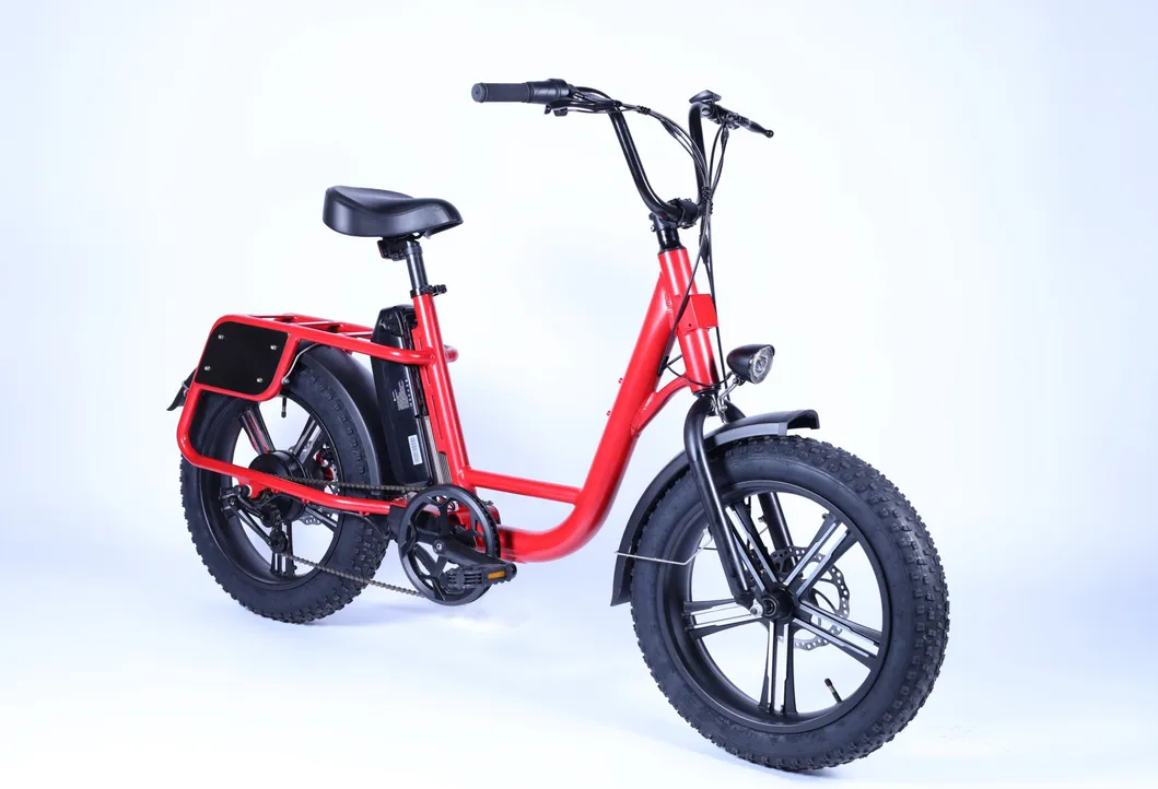 City Bicycle 20inch Fat Tire Electric Bike