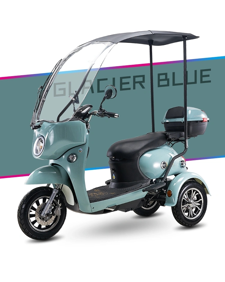Container for Girls Retro Adulte Passenger Cargo Pedal Trike Tricyclee EU Warehouse Tricycle Pick up Electric Tricycles 2 Personas