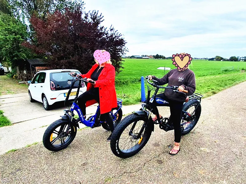 Customize Electric Harley Bike OEM Powerful Quality Electric Harly Bicycle E-Harley