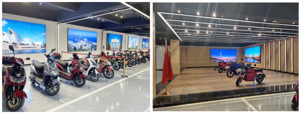 Direct Selling Best Price Moped Simple Design Electric Moped Bicycle