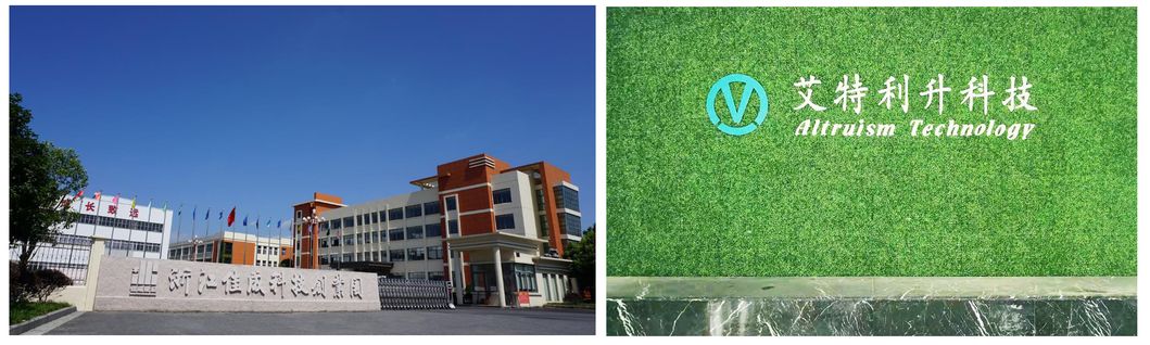 Direct Selling Best Price Moped Simple Design Electric Moped Bicycle