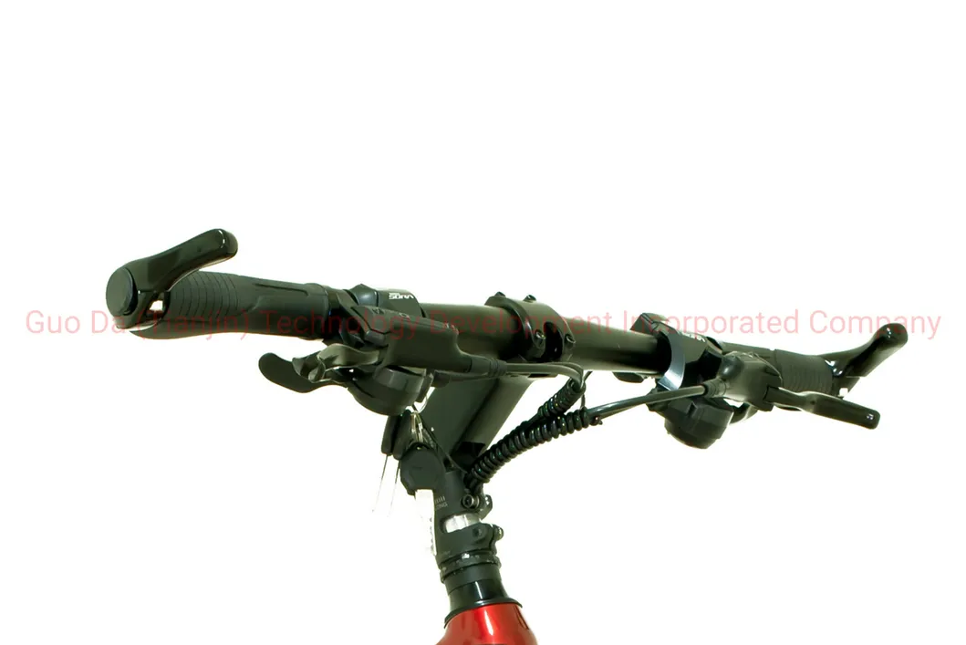 Disc Brake Electric Mountain Bicycle with 36V/250W