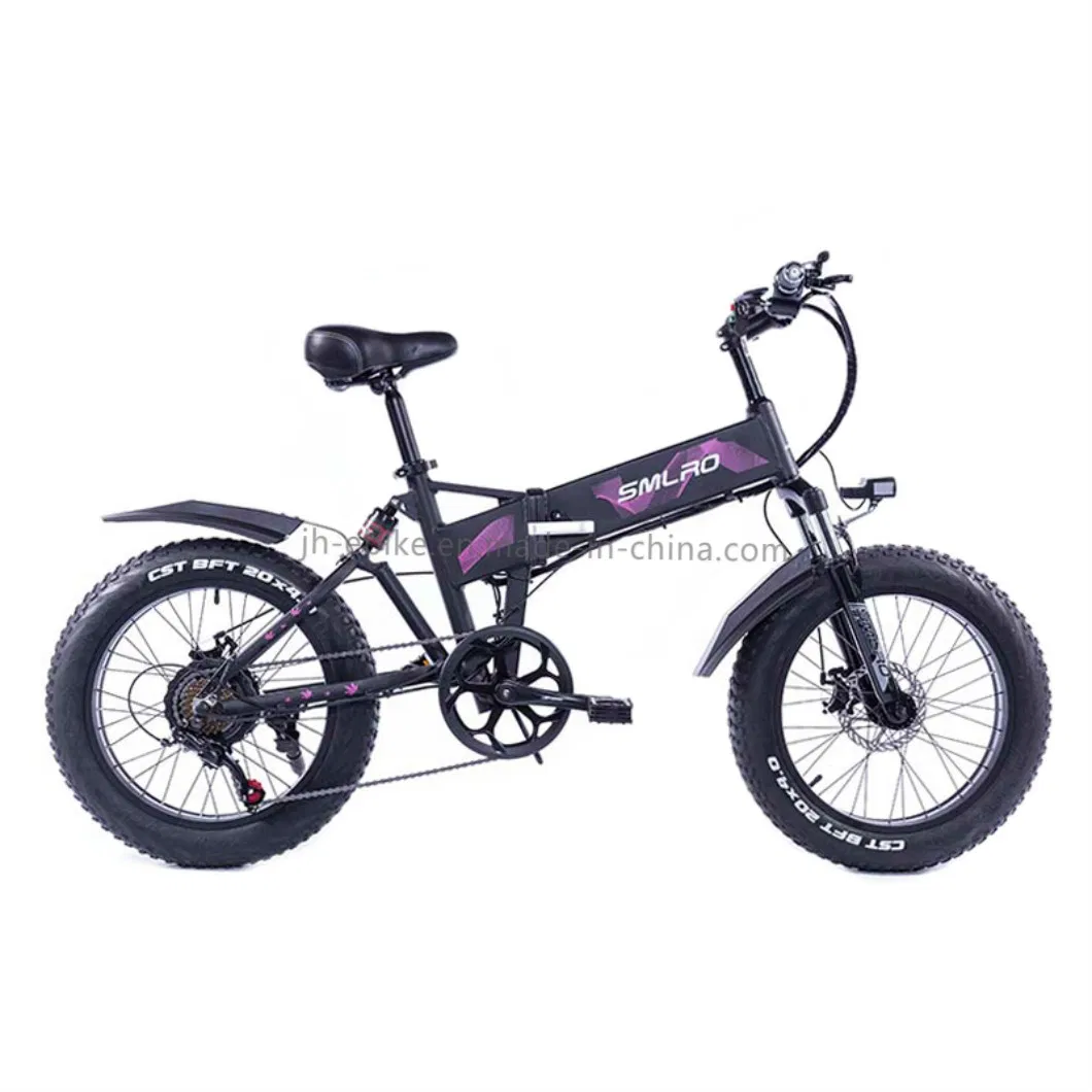 Dropshipping Foldable Bicycle Electric Bike Foldable 750W 48V Fat Tire Snow Bike