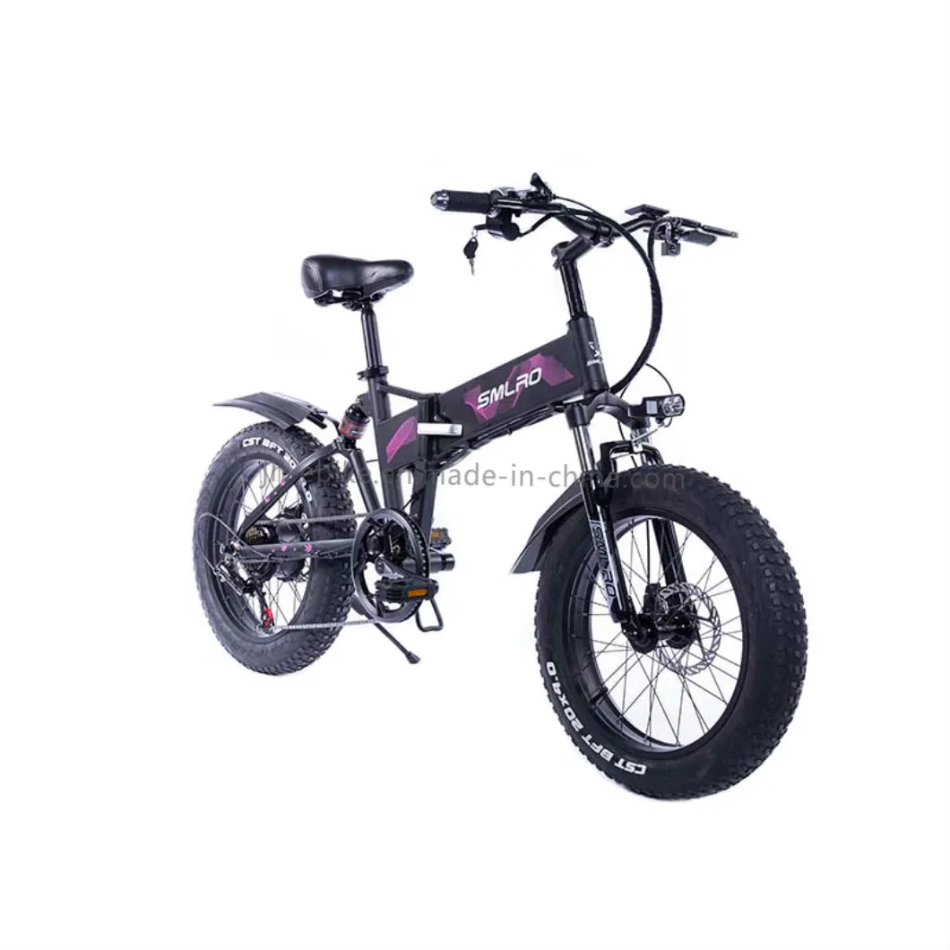 Dropshipping Foldable Bicycle Electric Bike Foldable 750W 48V Fat Tire Snow Bike