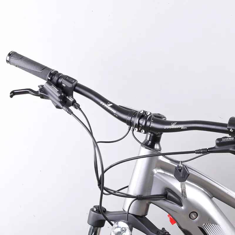 Dual Suspension Electric Fat Bike Bafang M600 MID Drive Sand Ebike Snow Bike