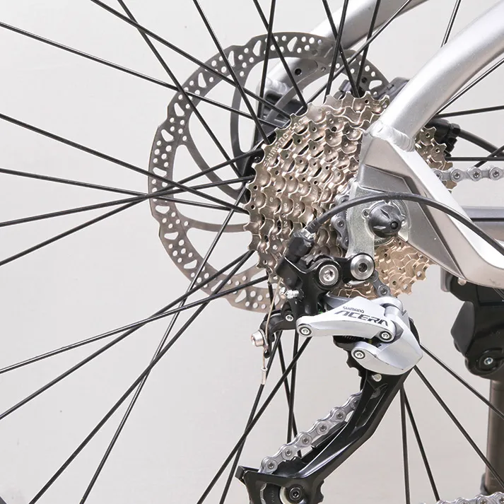 Dual Suspension Electric Fat Bike Bafang M600 MID Drive Sand Ebike Snow Bike