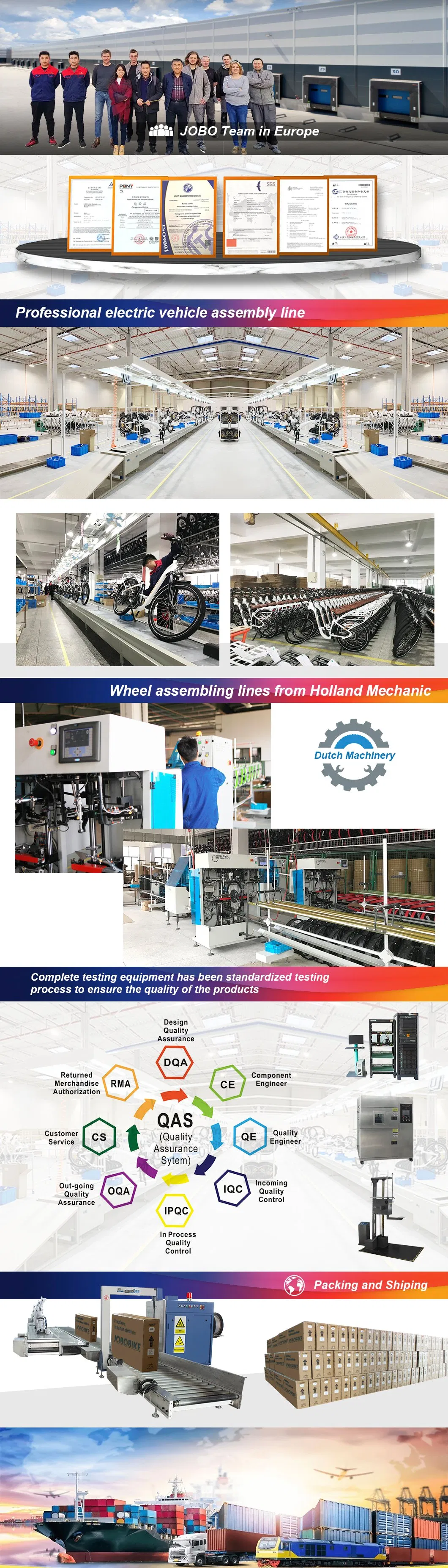 Dual Suspension Electric Fat Bike Bafang M600 MID Drive Sand Ebike Snow Bike