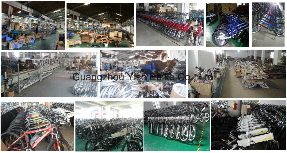 Dual Suspension Folding Electric Bicycle with LCD Display