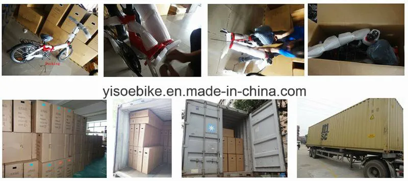 Dual Suspension Folding Electric Bicycle with LCD Display