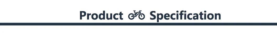 Ebike Fat Tire Cst 26*4.0 Carbon Electric Bike Electric Road Bike Bicycleold E Dirt Bike for Adults 45km/H Fast Speed