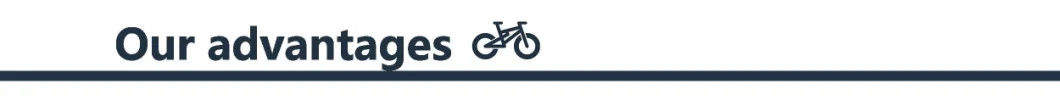 Ebike Fat Tire Cst 26*4.0 Carbon Electric Bike Electric Road Bike Bicycleold E Dirt Bike for Adults 45km/H Fast Speed