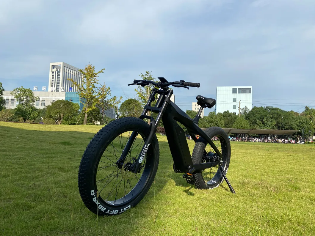 Ebike Fat Tire Cst 26*4.0 Carbon Electric Bike Electric Road Bike Bicycleold E Dirt Bike for Adults 45km/H Fast Speed