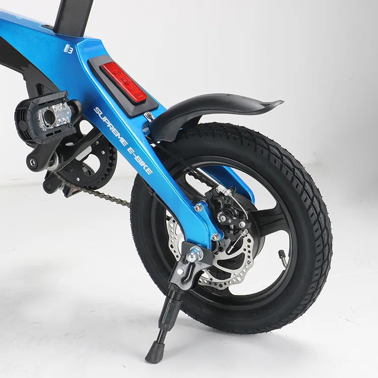 Ecorider E6-4 Electric Folding Bike 350W off Road Bicycle Mini Pocket Bike Travel Bike