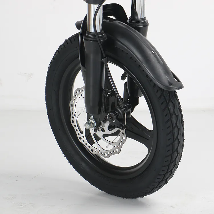 Ecorider E6-4 Electric Folding Bike 350W off Road Bicycle Mini Pocket Bike Travel Bike