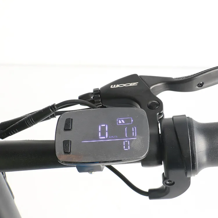 Ecorider E6-4 Electric Folding Bike 350W off Road Bicycle Mini Pocket Bike Travel Bike