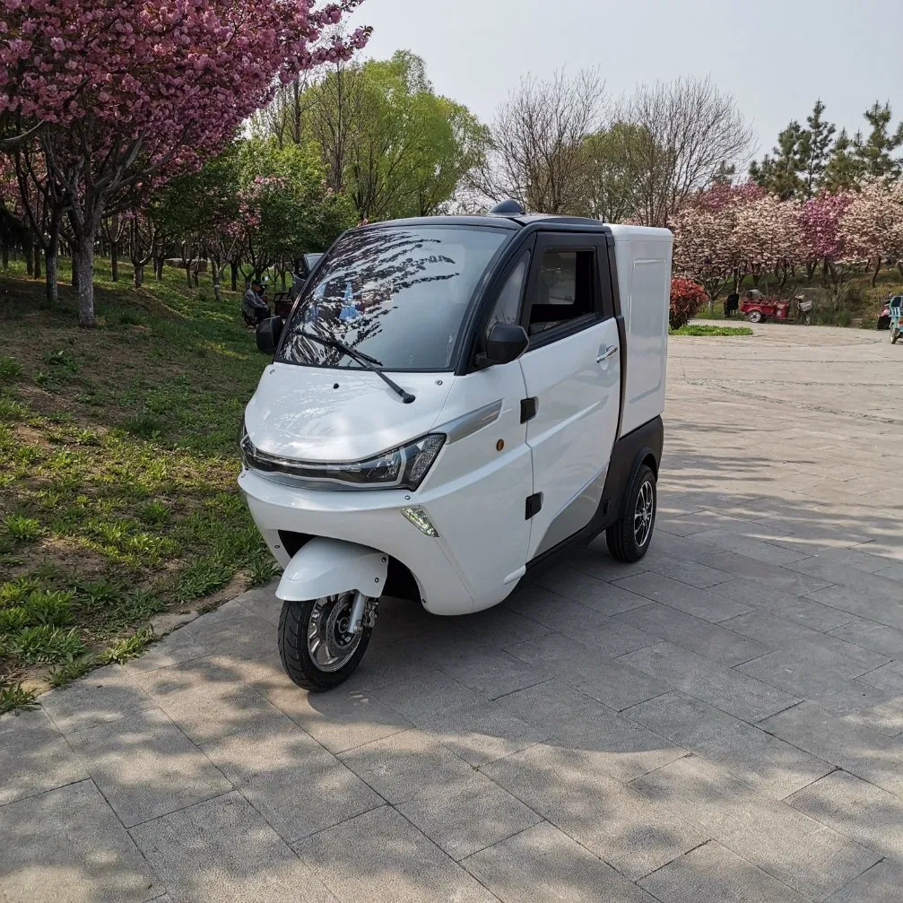 EEC Approval 3 Wheel Electric Delivery Cargo Tricycle