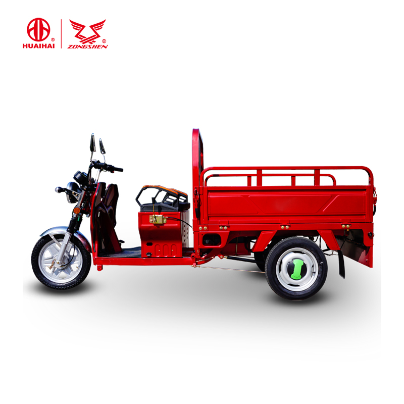 EEC Certification Hot Sale Battery Operated Three Wheel Electric Cargo Tricycle with 1000W Motor