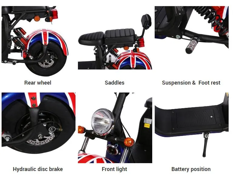 EEC Electric Citycoco Dh0502 The Most Popular Fat Tire Two Wheel Halley Scooter