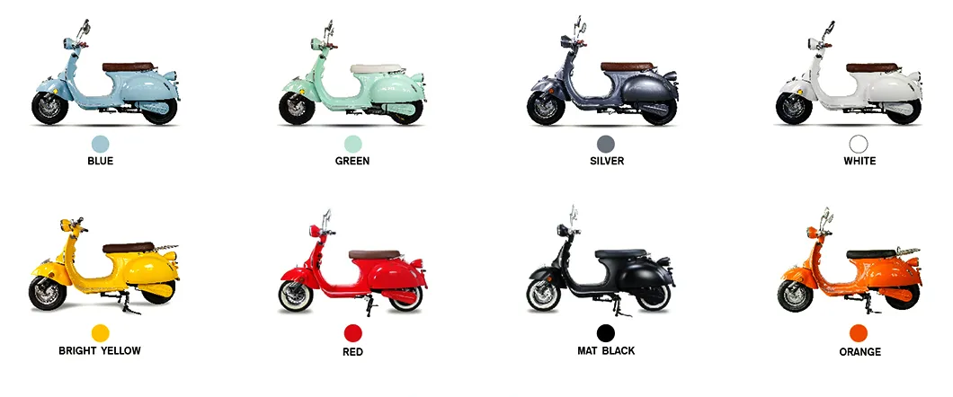 EEC EV2000 L1e 2000W Electric Scooter with LG/Greenway/Sams Lithium Battery