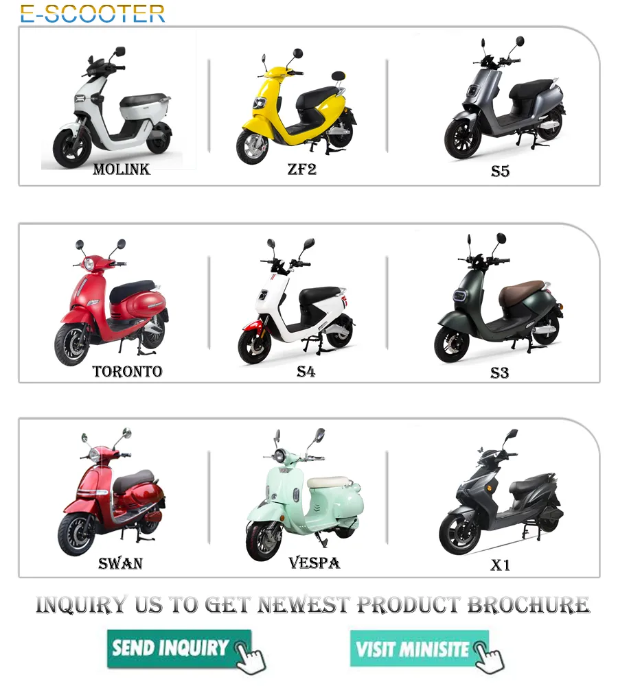 EEC L1e 48V 24ah Lithium Power Scooter Long Range Adult Electric Scooter