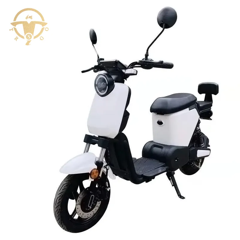 EEC L1e 48V 24ah Lithium Power Scooter Long Range Adult Electric Scooter