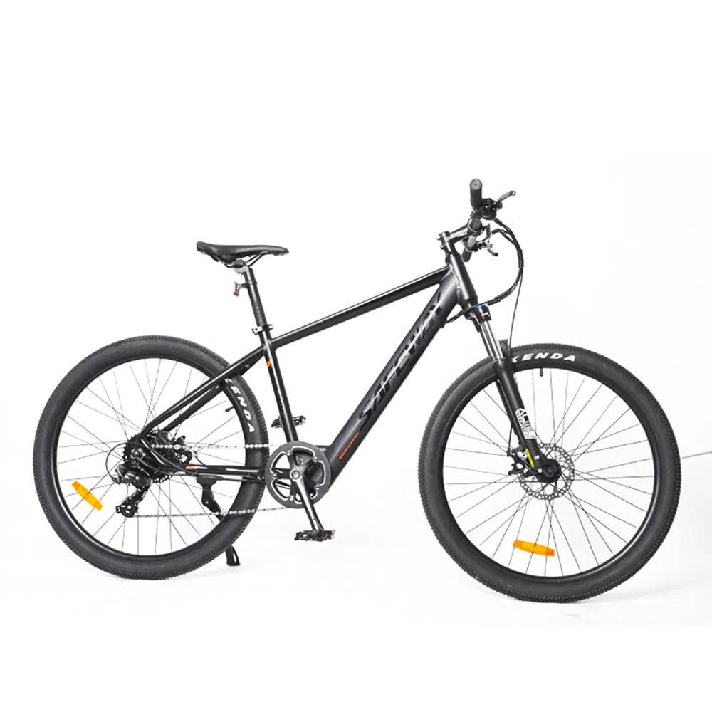 Electric Adult Bike/Ebike Woman/Ebike Sport