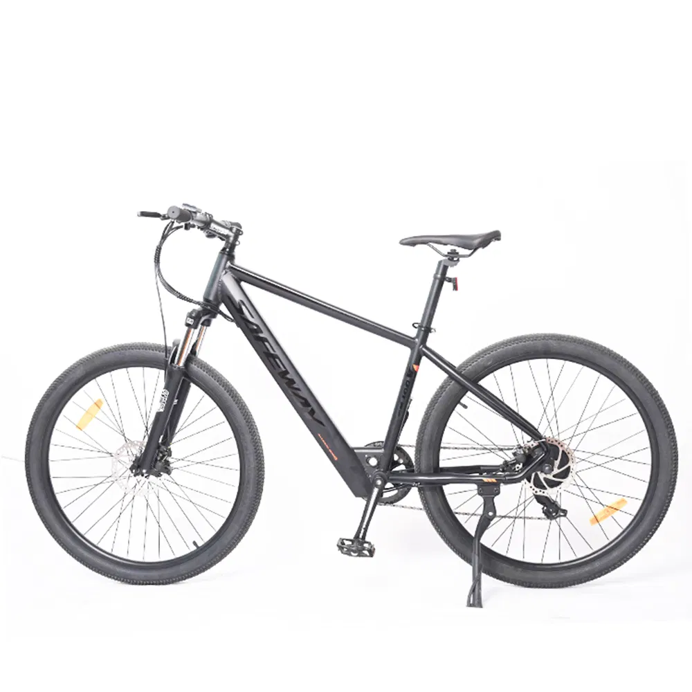 Electric Adult Bike/Ebike Woman/Ebike Sport