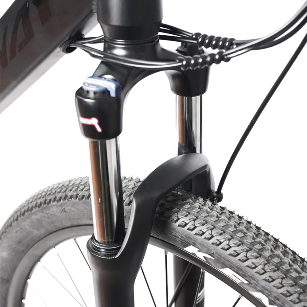 Electric Adult Bike/Ebike Woman/Ebike Sport