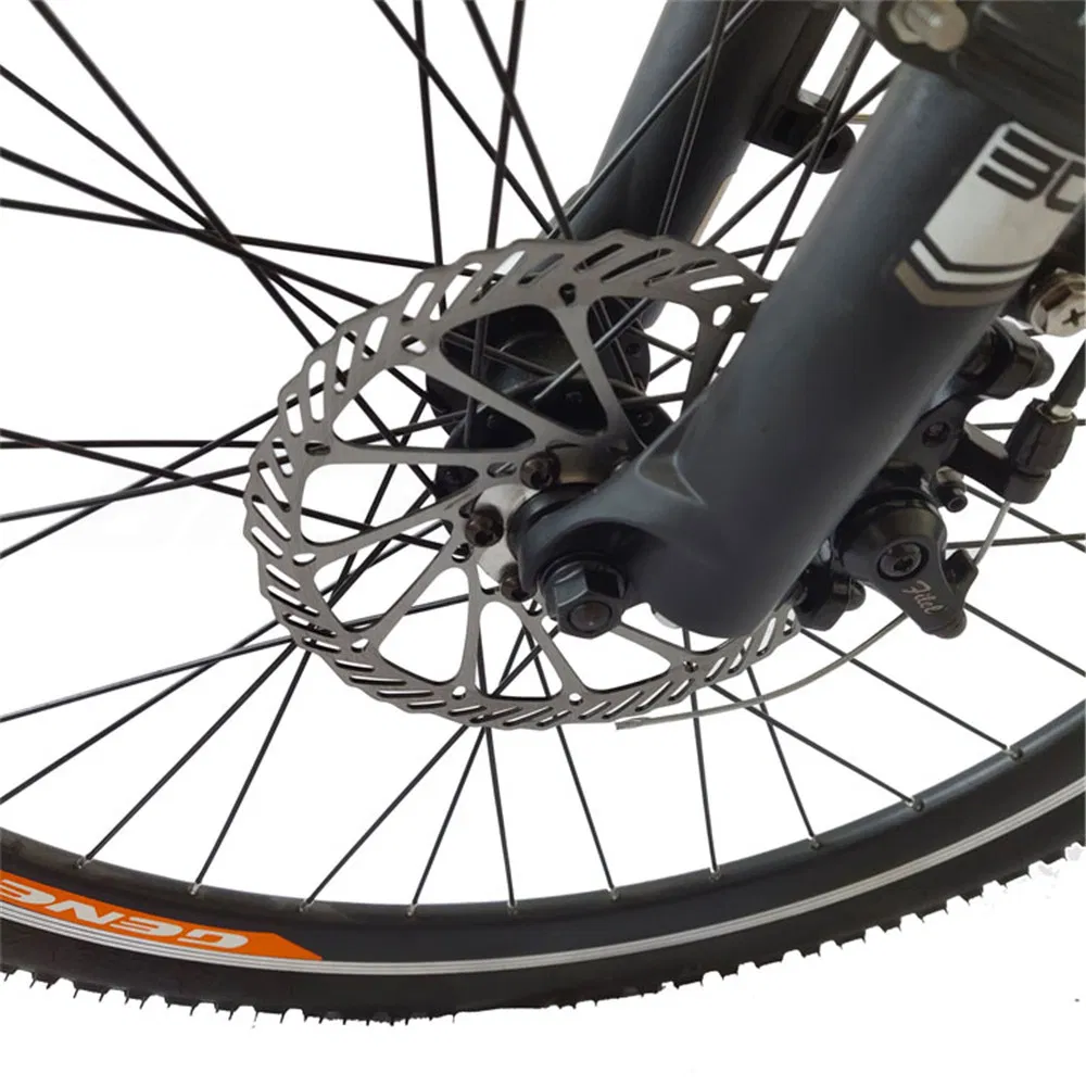 Electric Bike 48V 2020 26 20inch 21ah 250 Watt 250W26 26 Inch27.5 27.5 Inch