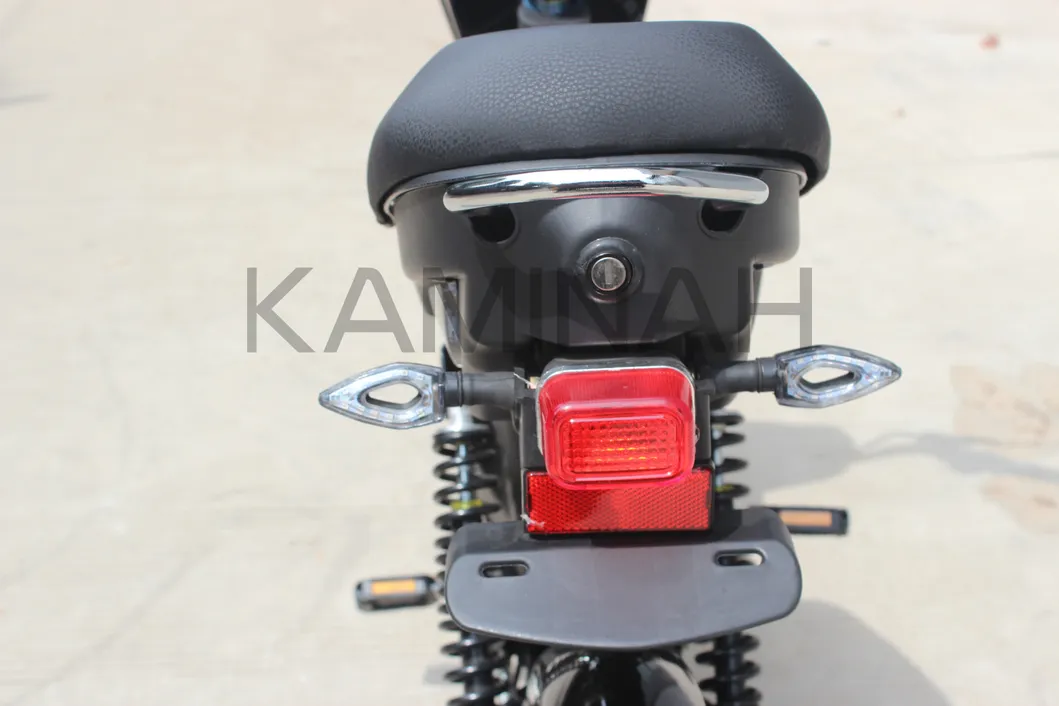 Electric Bike Power Vehicle E-Bike Electric Scooter 350W 48V Electric Motorcycle Yzqs